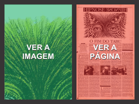 Imagem 19a