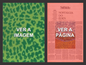 Imagem 20a