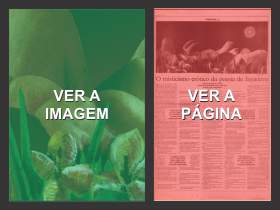 Imagem 28a