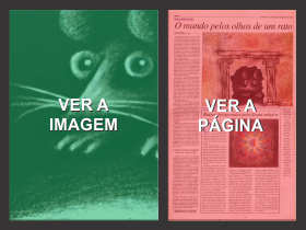 Imagem 40a